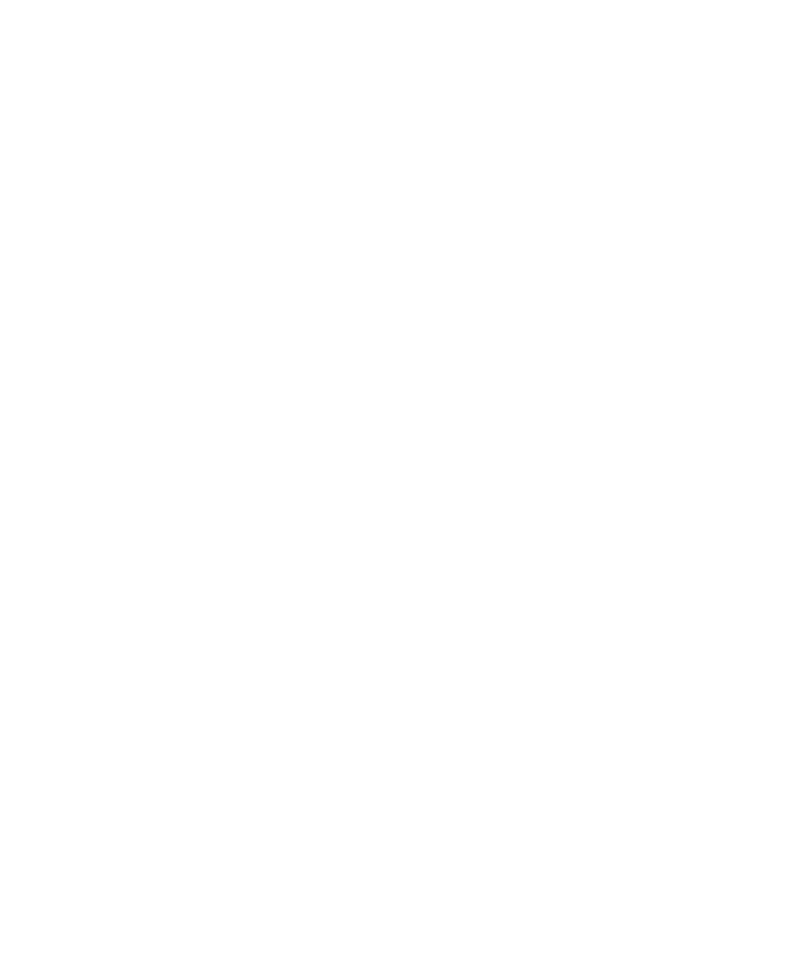 Diamond Networx - Footer Logo (1000px)
